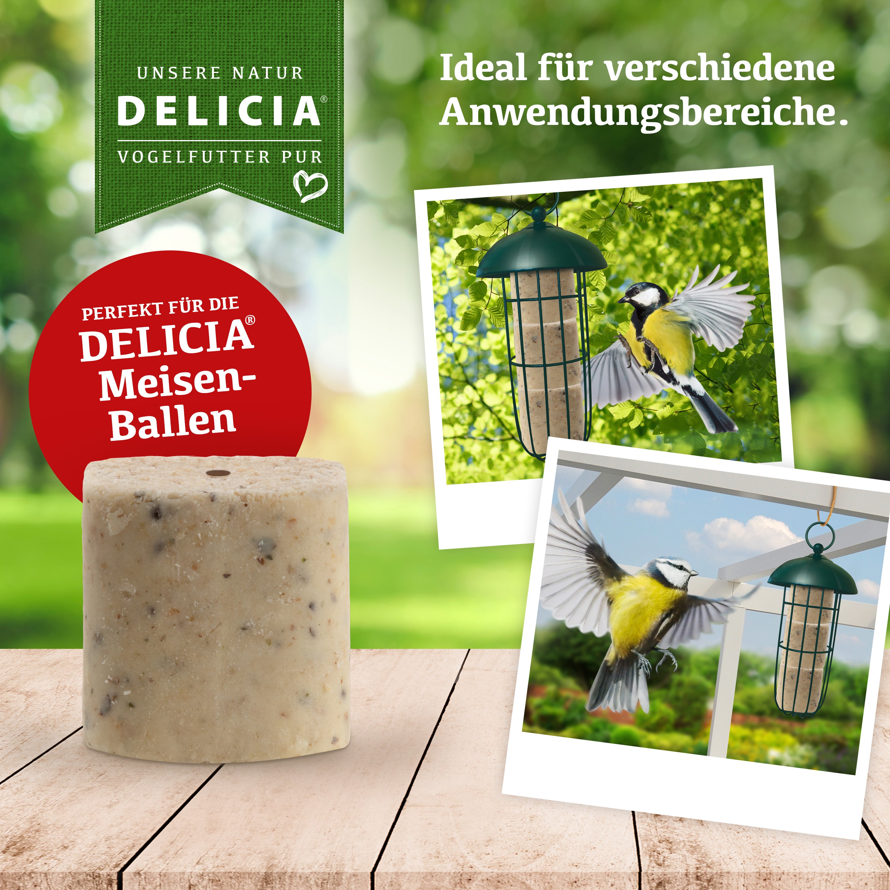 Delicia Meisenballen 30 Stück ohne Netz plus 1 Meisenballenspender