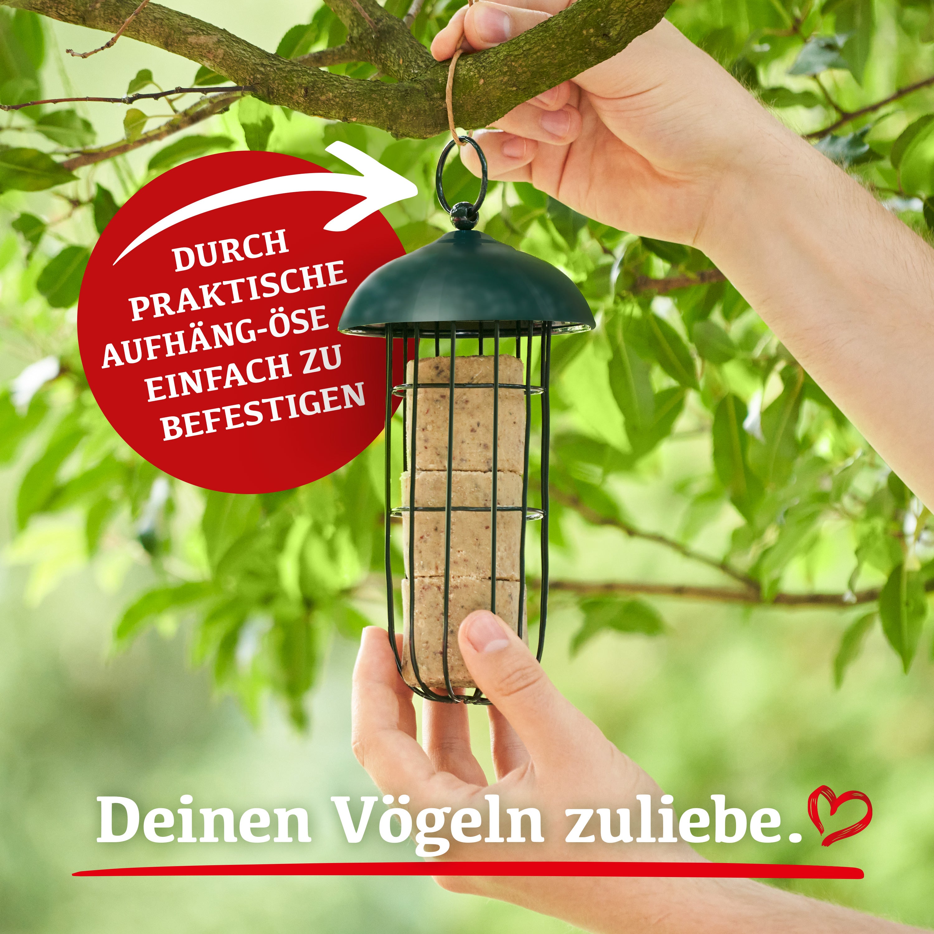 Delicia Meisenballen 30 Stück ohne Netz plus 1 Meisenballenspender