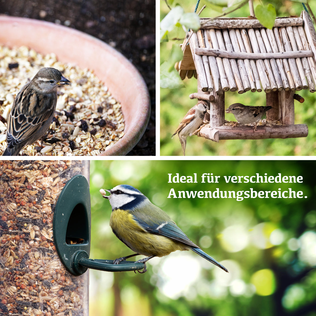 Delicia Sonnenblumen Futter - Mix, Ganzjahres Vogelfutter, Streufutter, Schalenfrei, Ambrosiafrei, ohne Konservierungsstoffe