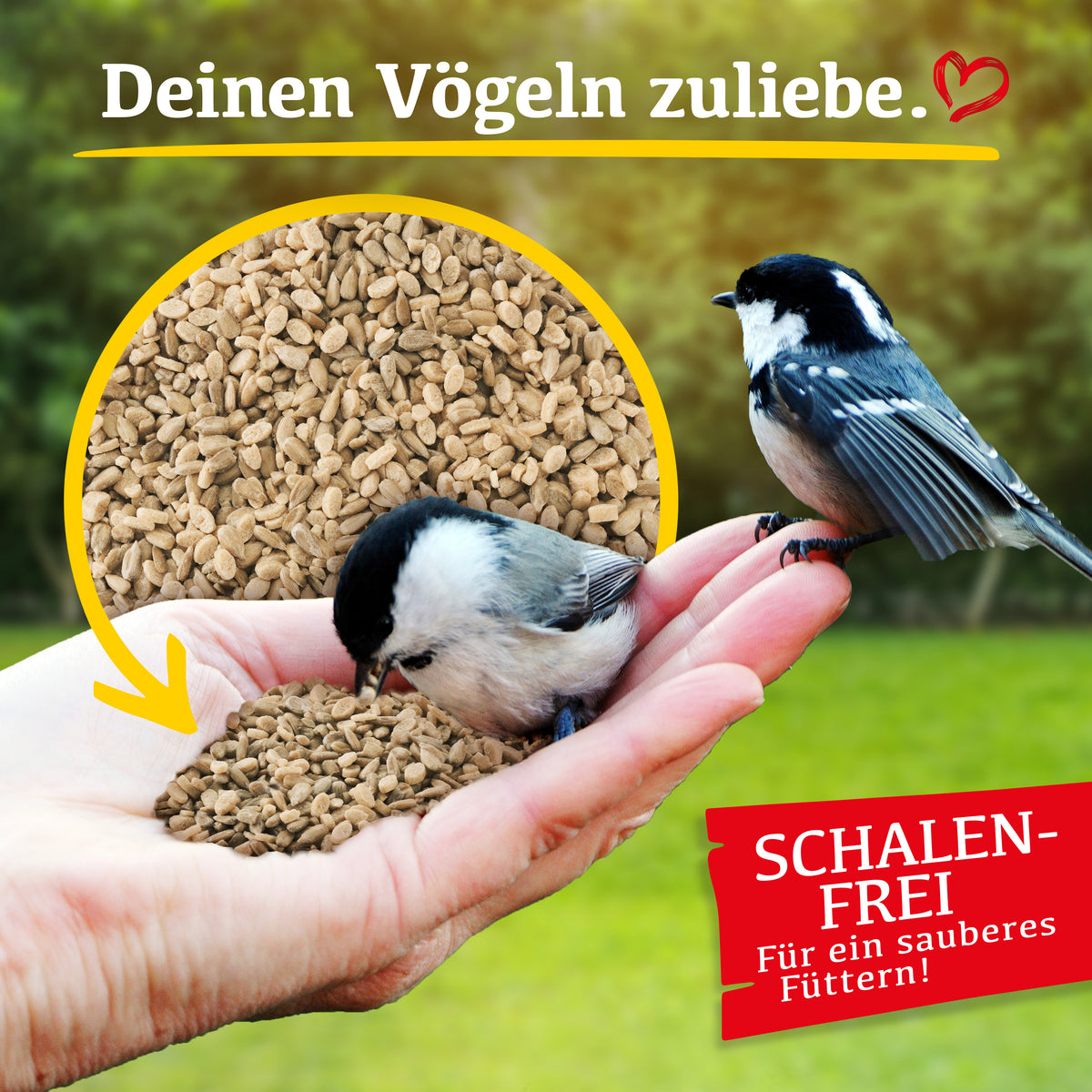 Delicia Sonnenblumen Futter - Mix, Ganzjahres Vogelfutter, Streufutter, Schalenfrei, Ambrosiafrei, ohne Konservierungsstoffe