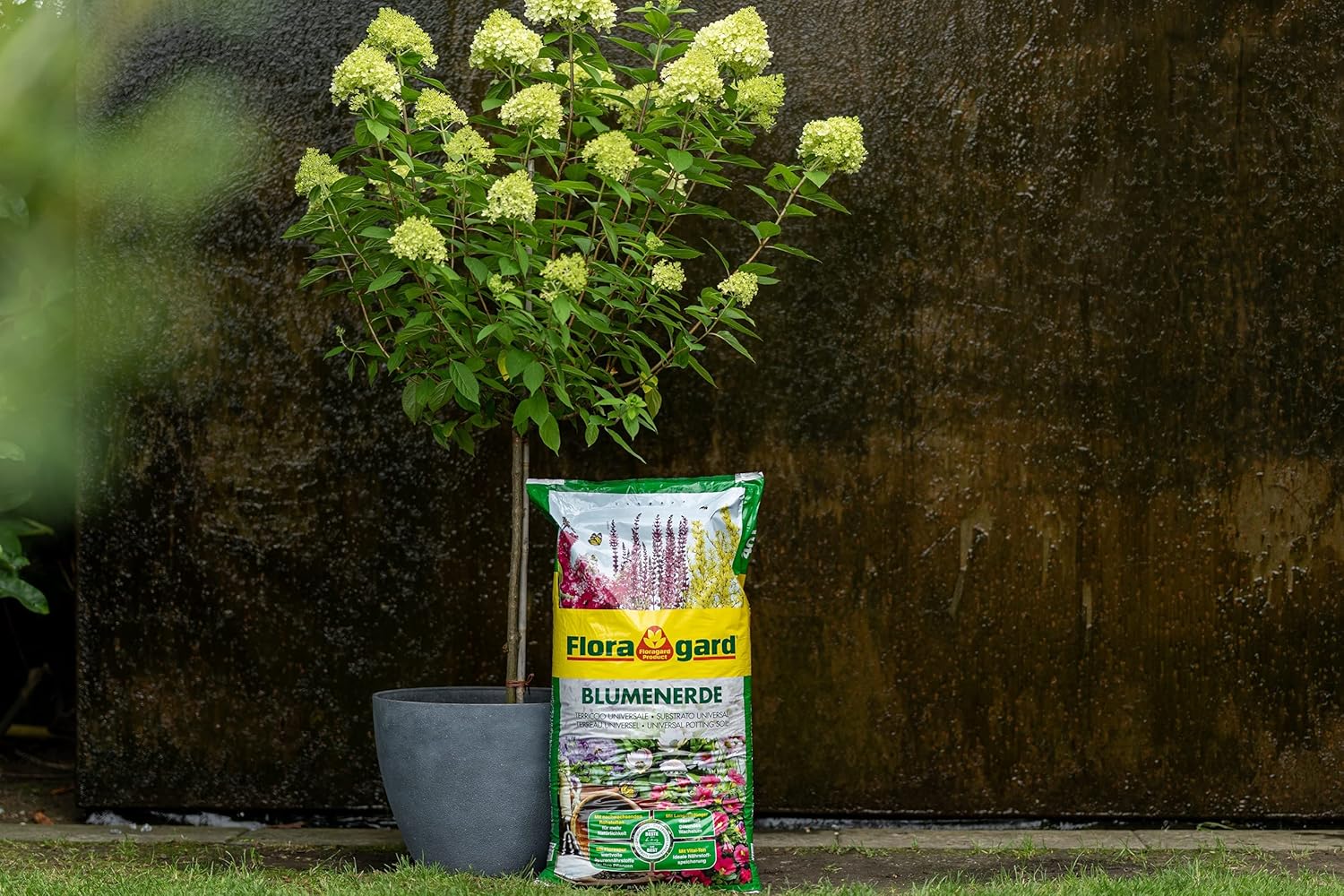 70L Floragard Blumenerde, Universalerde mit Ton und Langzeitdünger, Topferde, Gartenerde, Erde