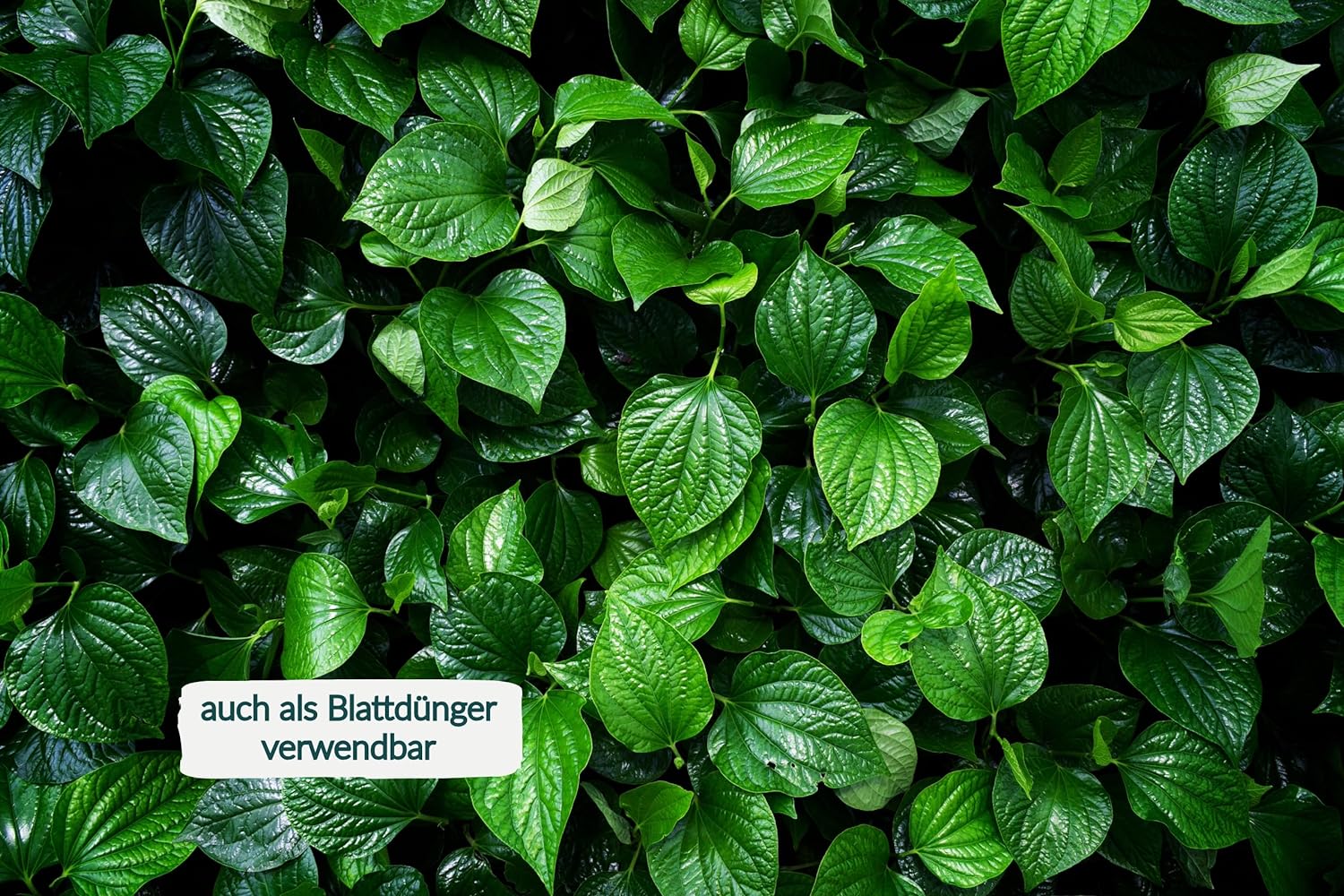 HaGaFe Bio Universal Flüssigdünger, Blattdünger, Universaldünger, Dünger, Blumendünger