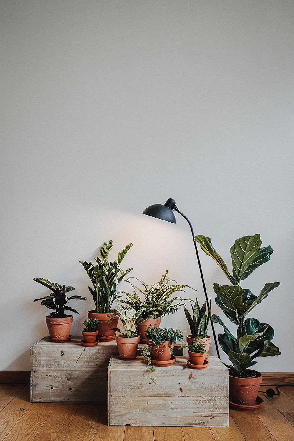 70L Floragard Blumenerde, Universalerde mit Ton und Langzeitdünger, Topferde, Gartenerde, Erde