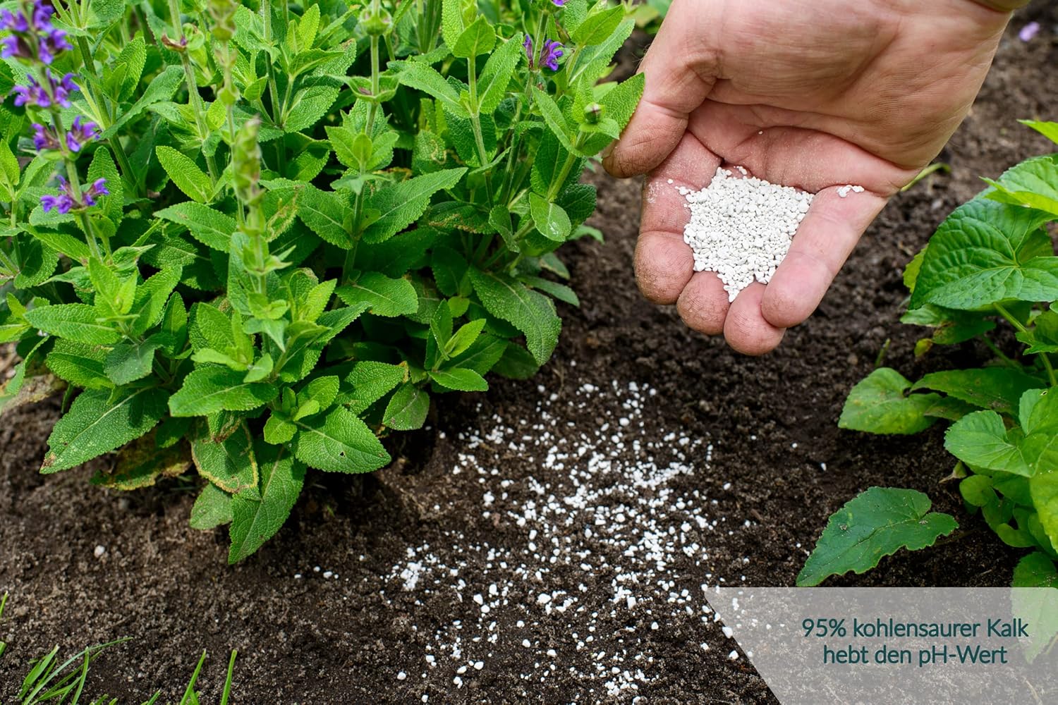 HaGaFe Bio Rasenkalk, Gartenkalk, Garten-Kalk, Düngekalk, hebt den pH-Wert, gegen Moos im Rasen