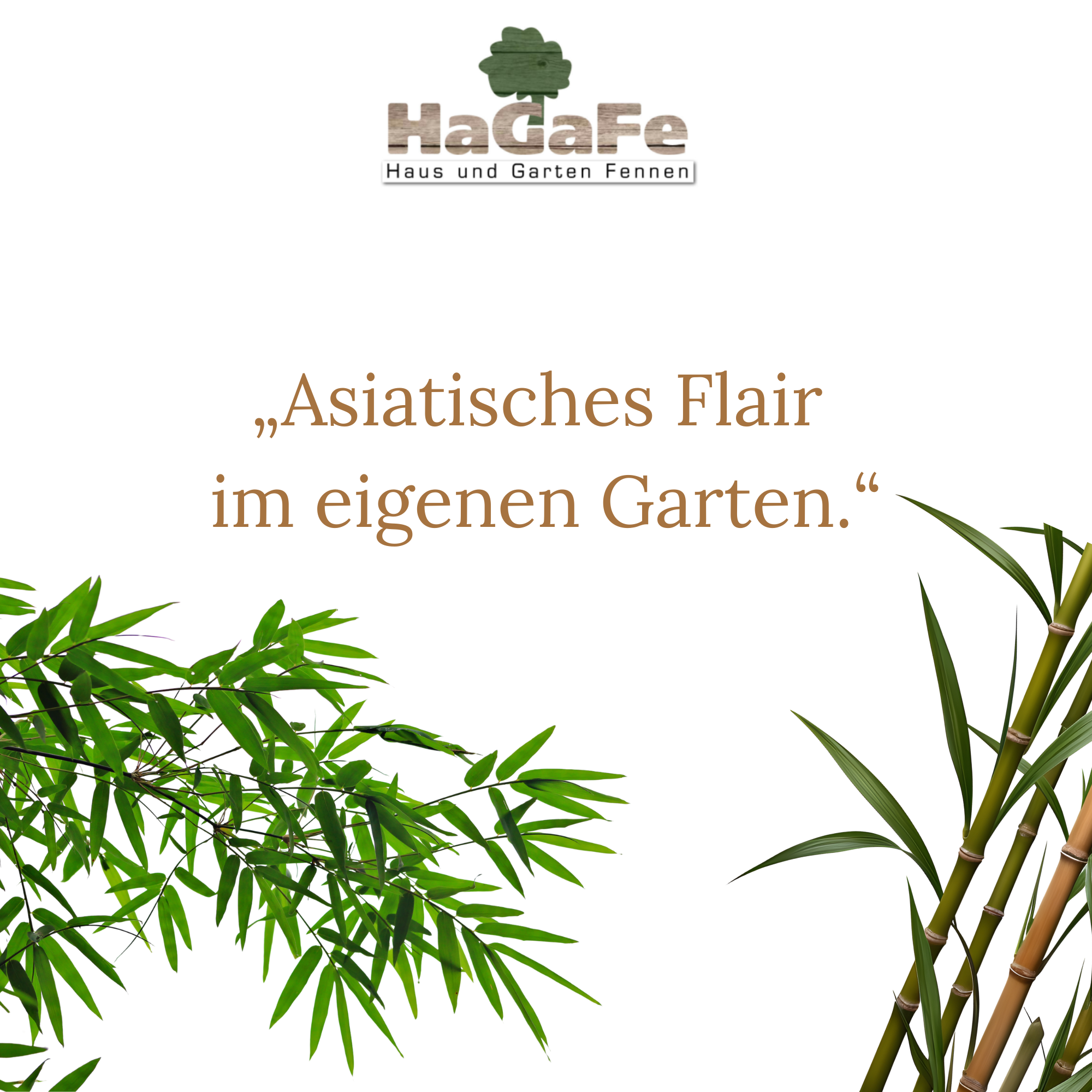 HaGaFe Terra Line BIO Bambuserde Pflanzerde 50 Liter