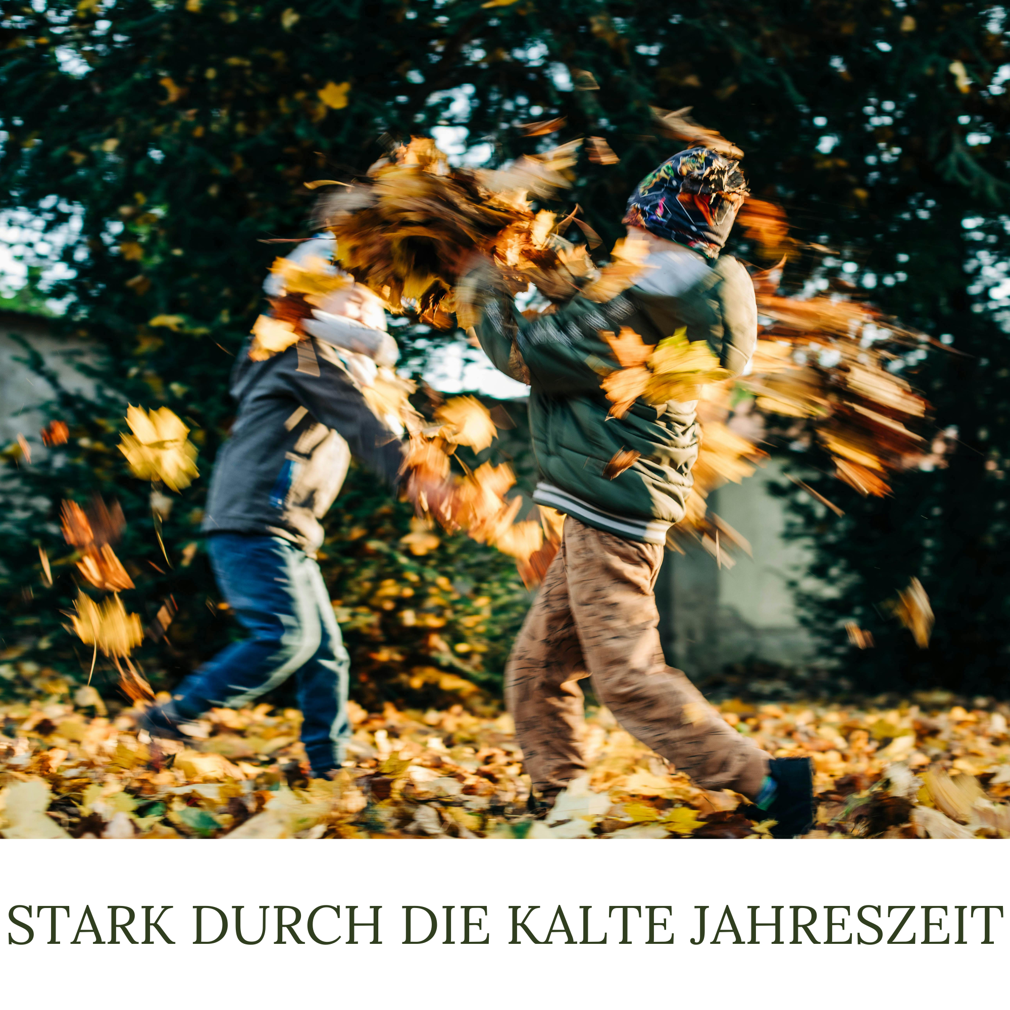 HaGaFe Herbstrasendünger, Herbst - Rasendünger, Rasen - Dünger, Kaliumdünger für Frosthärte und Standfestigkeit, Blend - Granulat