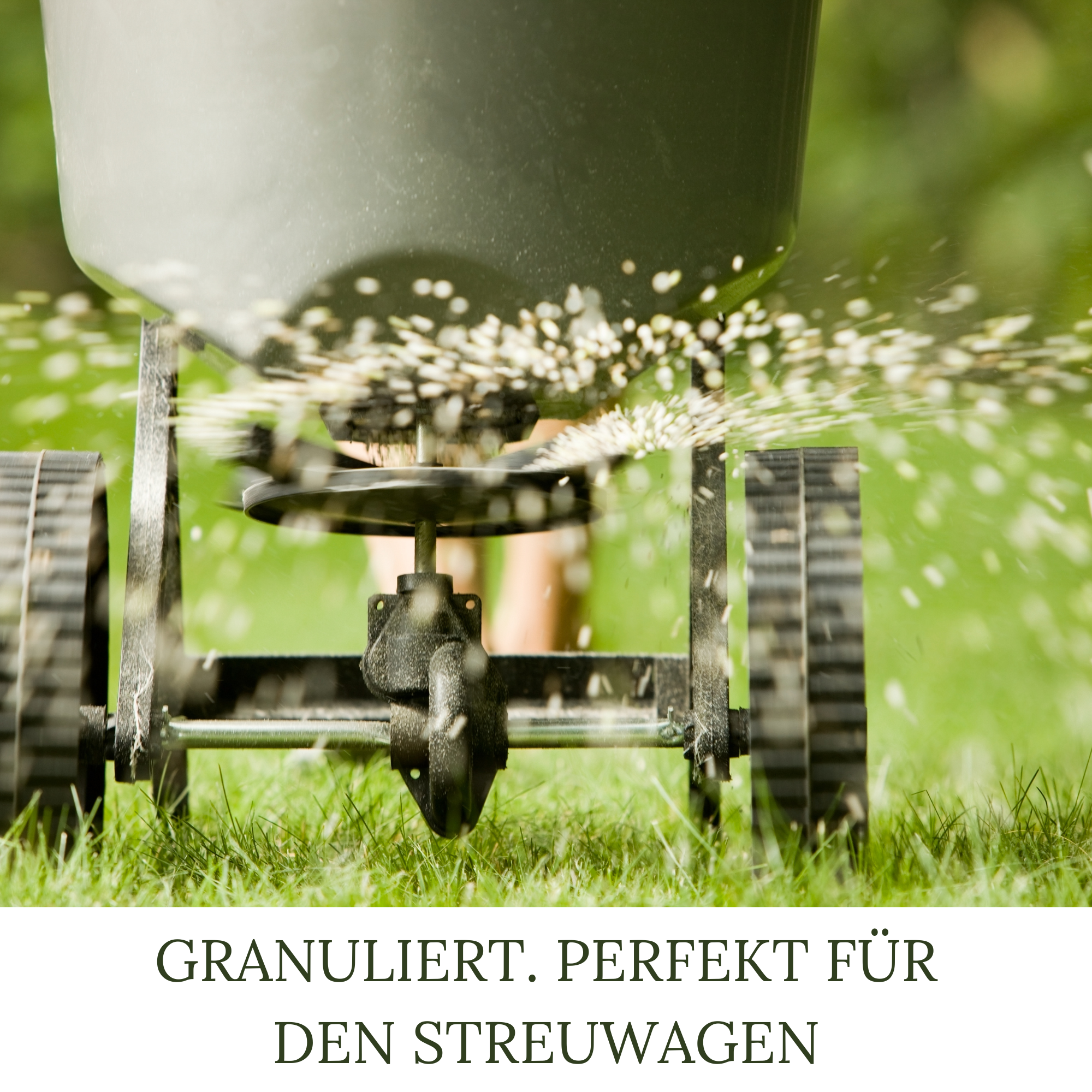 HaGaFe Herbstrasendünger, Herbst - Rasendünger, Rasen - Dünger, Kaliumdünger für Frosthärte und Standfestigkeit, Blend - Granulat