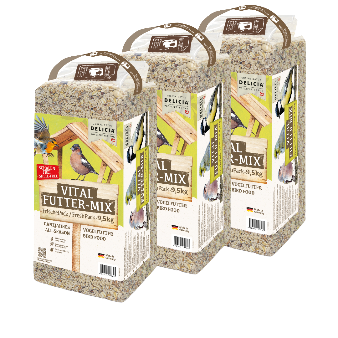 Delicia Vital Futter-Mix, Ganzjahres Vogelfutter, Streufutter, Schalenfrei, Ambrosia frei, mit Erdnusskernen und Rosinen
