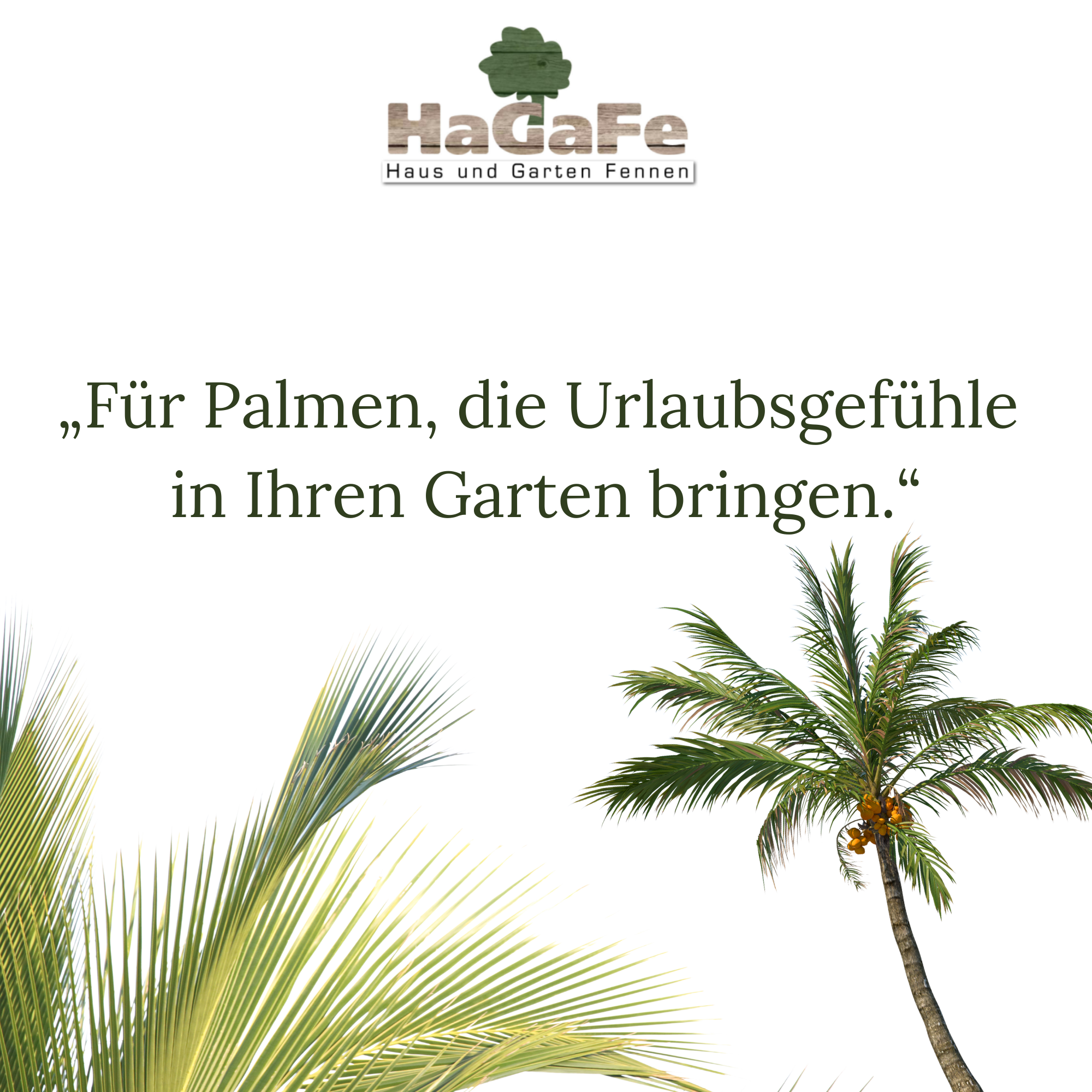 HaGaFe Terra Line BIO Palmenerde Pflanzerde 50 Liter