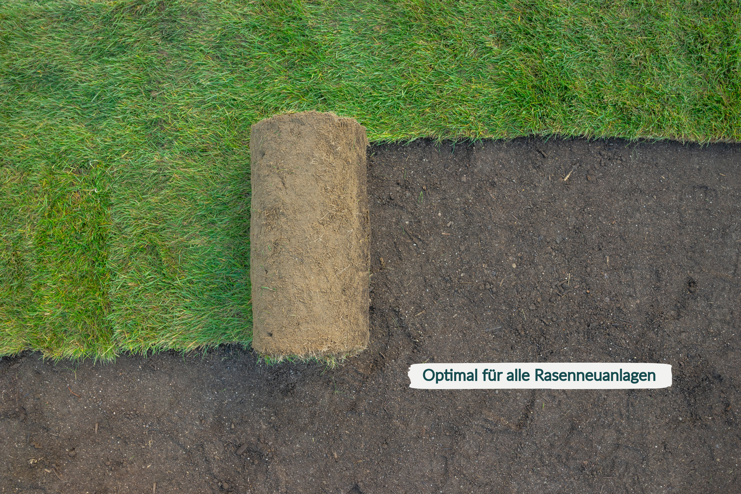 HaGaFe Bio TURBO Rasenstarter, Wurzelstarter, Rasendünger für Rasenneuanlagen, Dünger mit viel Phosphat