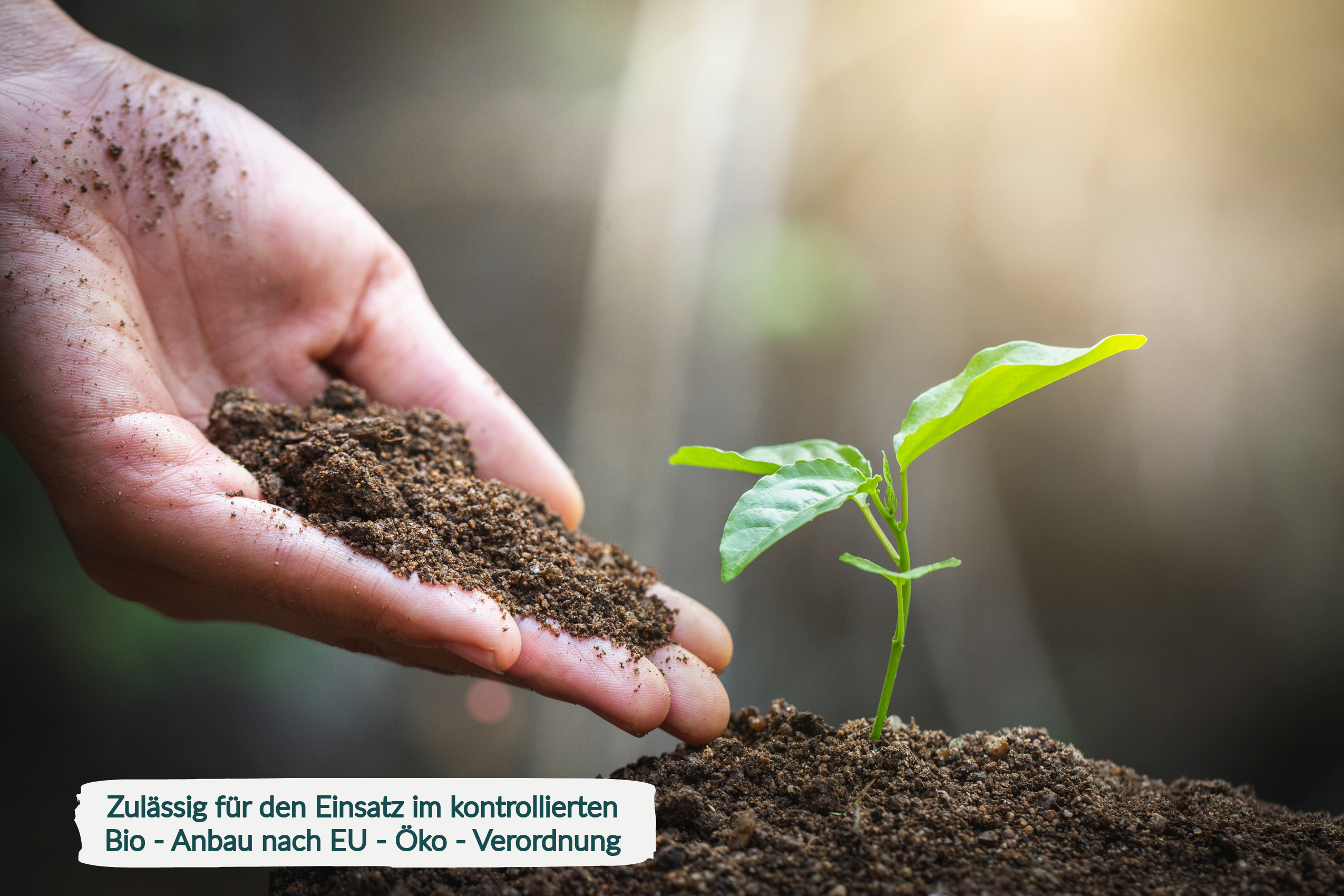 HaGaFe Bio Schafwoll - Pellets, Bio Schafwollpellets, organischer Universaldünger, Gartendünger