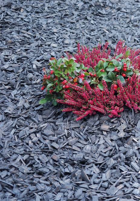 Bevermann Uni Holzdekor Anthrazit, Dekor - Mulch, Abdeckmaterial, Holz - Dekorrinde
