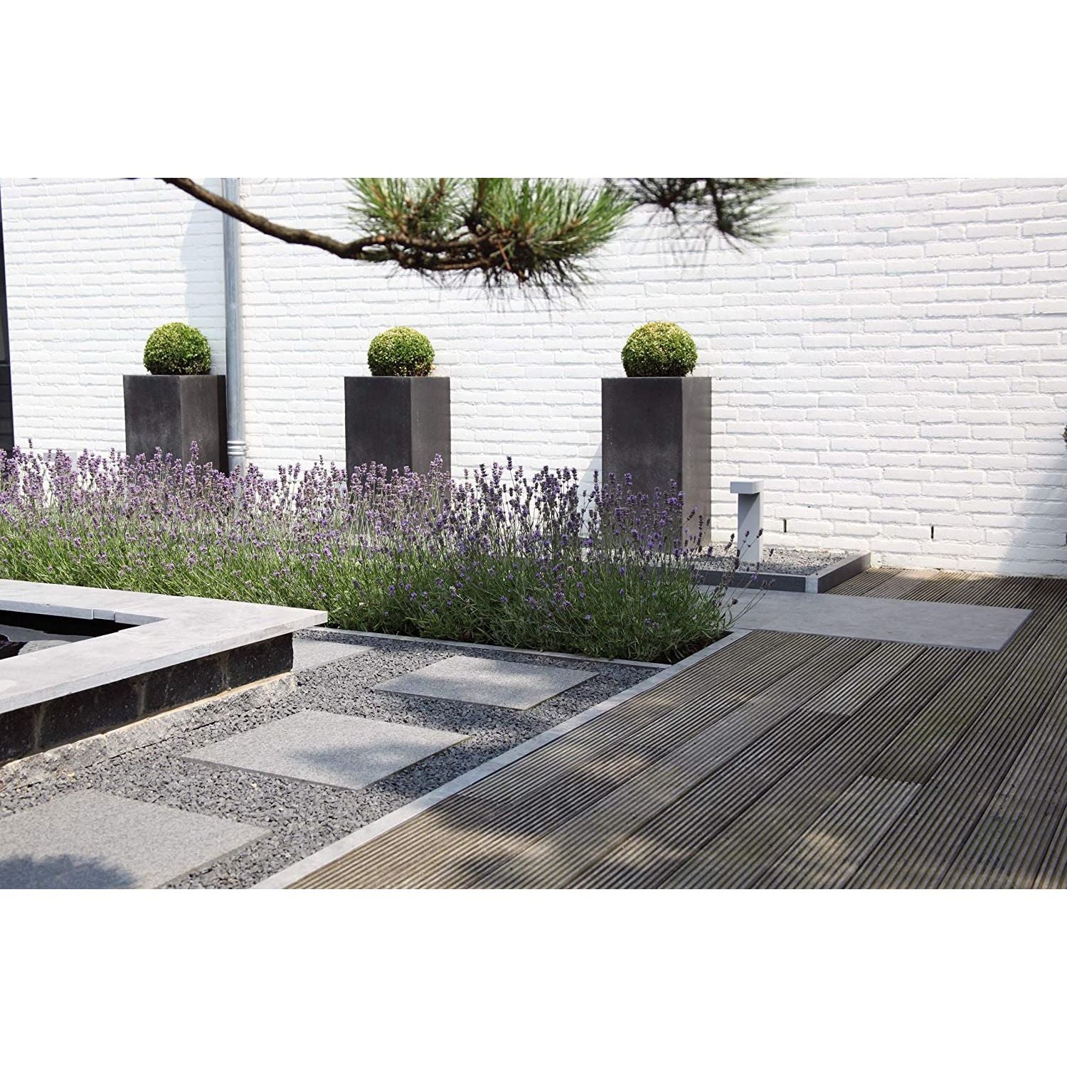 NWN Ardenner Splitt 8-16 mm Grau Dekosteine Ziersplitt Ziersteine Steine 25 kg