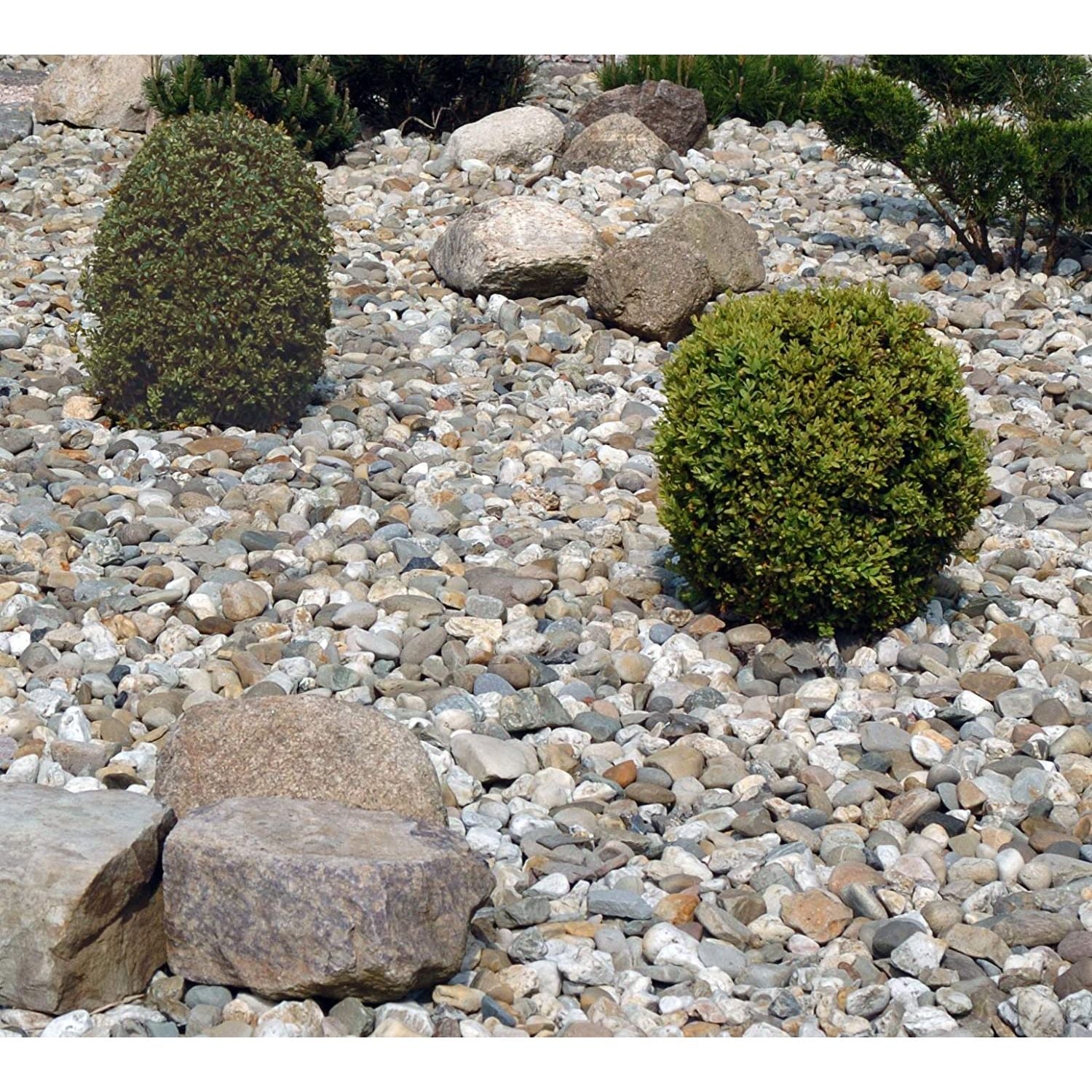 NWN Buntkies 20-40 mm Zierkies Gartenkies Teichkies Waschkies Rheinkies Steine